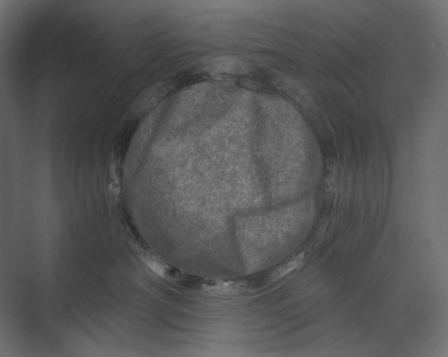 X0000073430430200608181152