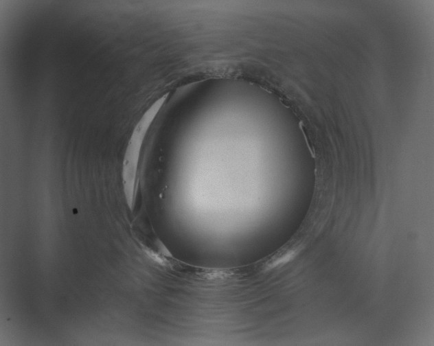 X0000073430432200608181152