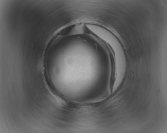 X0000073430438200608181151