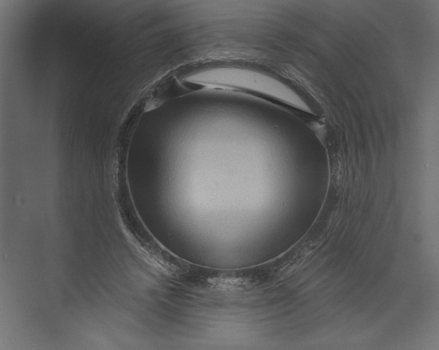 X0000073430448200608181151