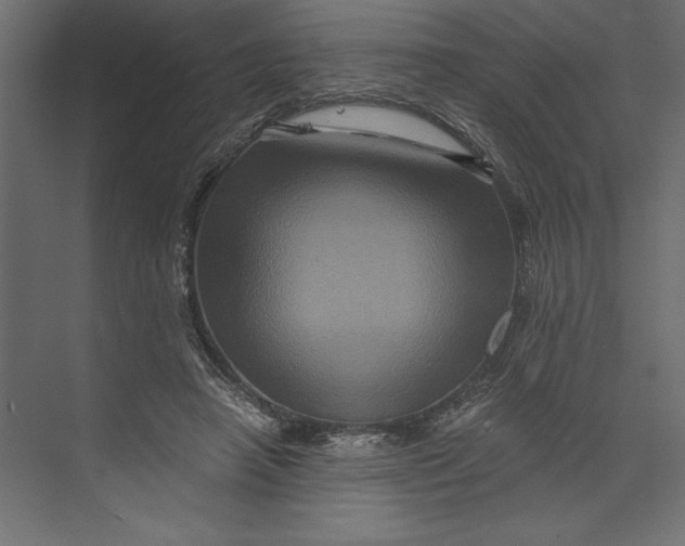 X0000073430450200608181151