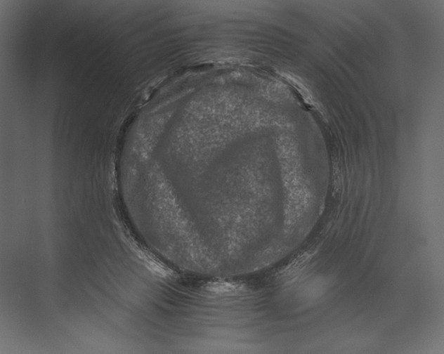 X0000073430453200608181151