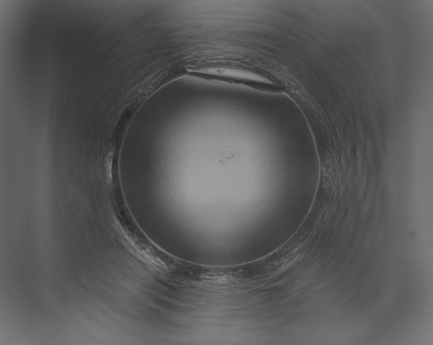 X0000073430454200608181151