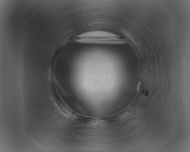 X0000073430459200608181151