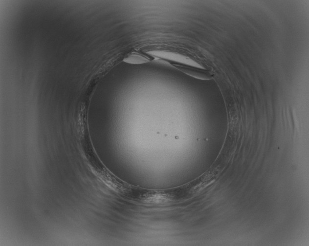 X0000073430460200608181151