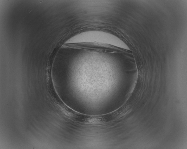 X0000073430462200608181151