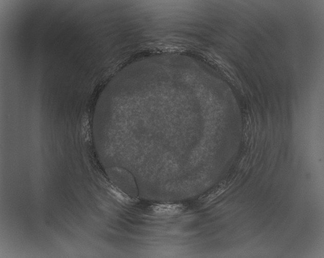 X0000073430465200608181151