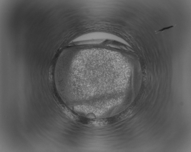 X0000073430466200608181151