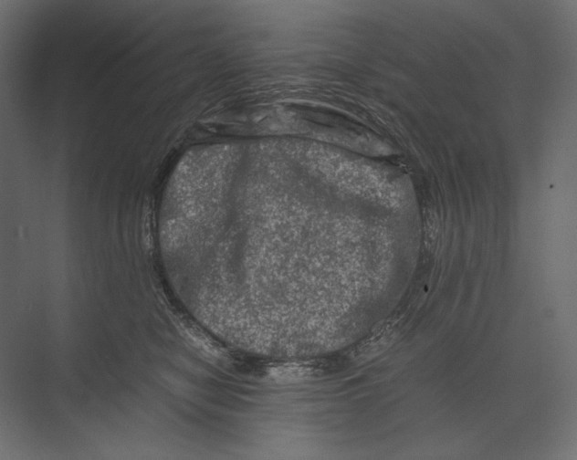 X0000073430470200608181151