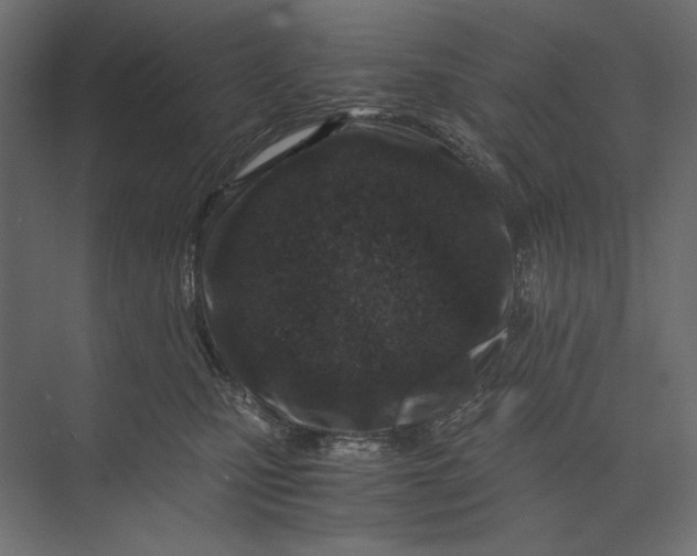 X0000073430471200608181151