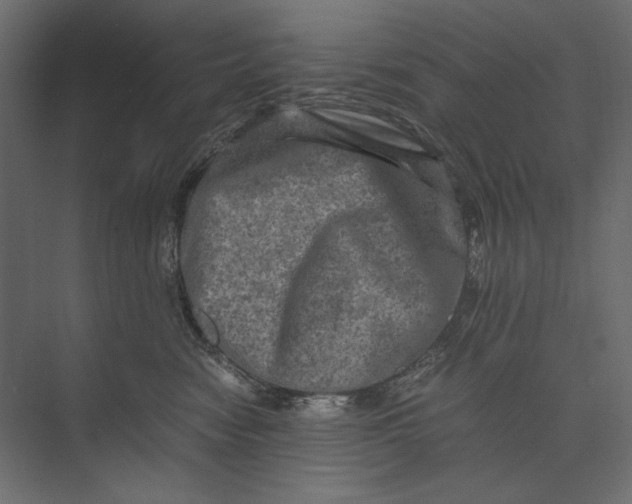 X0000073430474200608181151