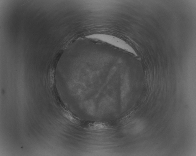 X0000073430475200608181151