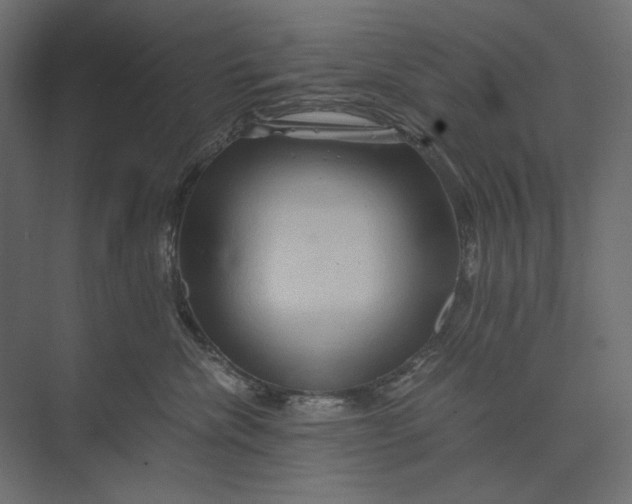 X0000073430476200608181151