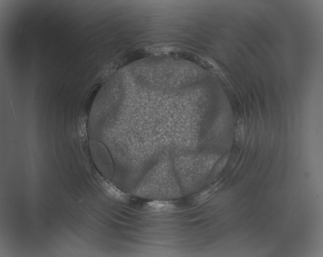 X0000073430477200608181151