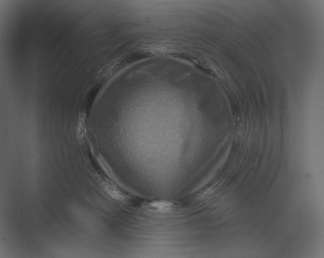 X0000073430478200608181151