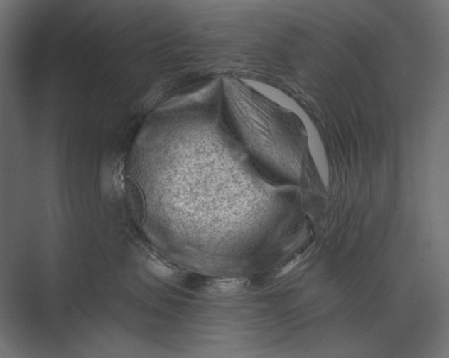 X0000073430479200608181152