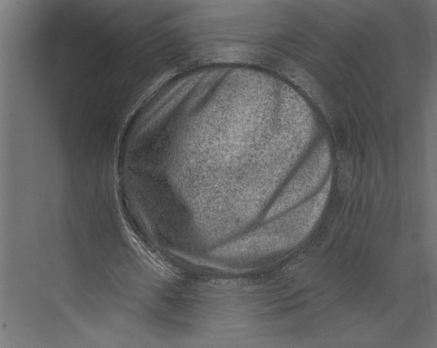 X0000073430482200608181151