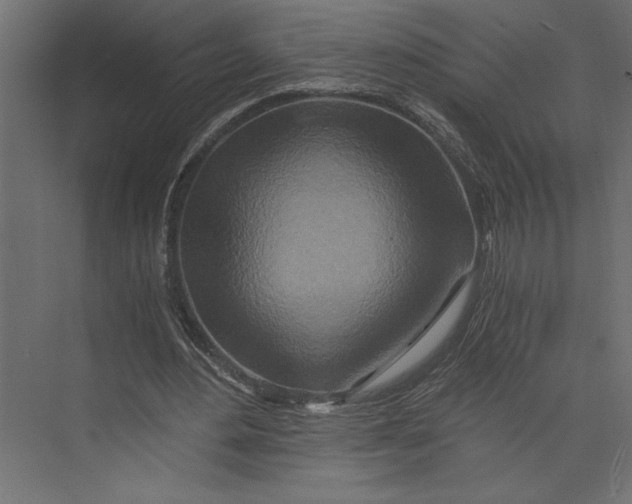 X0000073430484200608181151