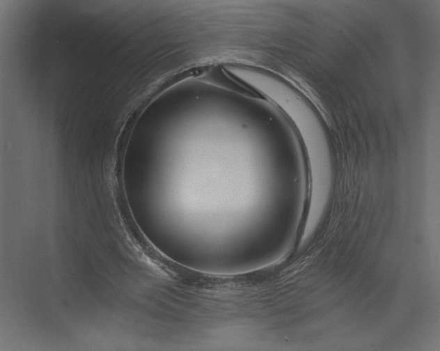 X0000073430485200608181151