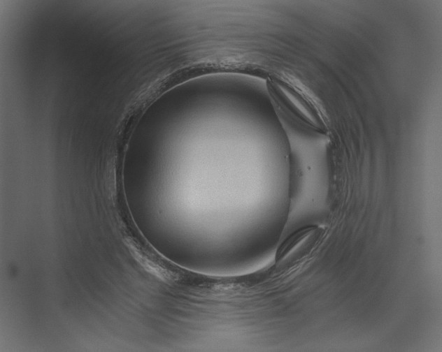 X0000073430493200608181151