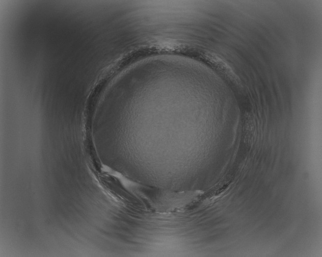 X0000073430496200608181150