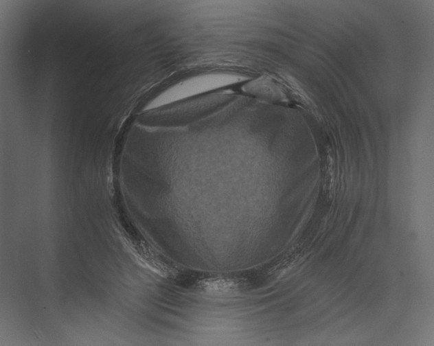 X0000073430500200608181150