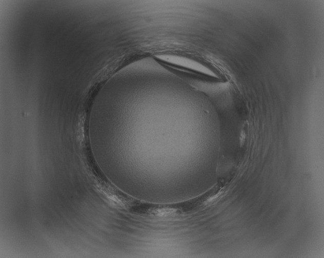 X0000073430501200608181150