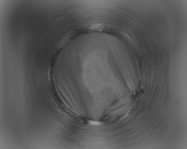 X0000073430504200608181150