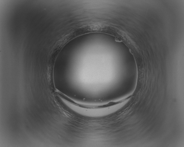 X0000073430505200608181150