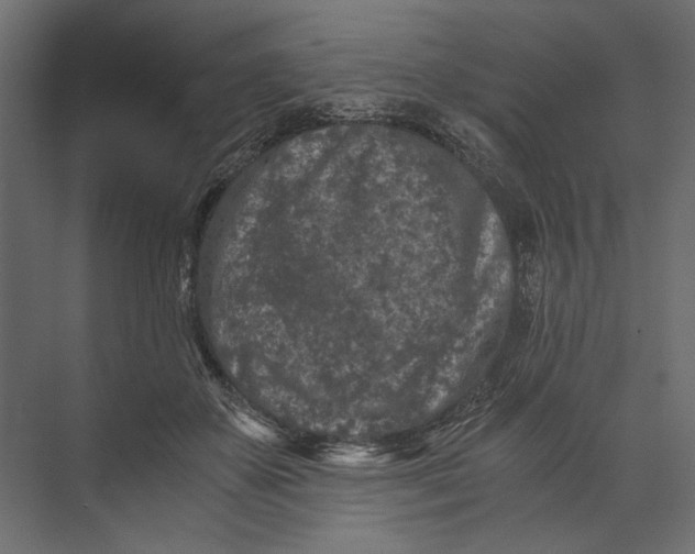 X0000073430507200608181150