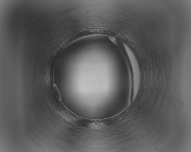 X0000073430508200608181150