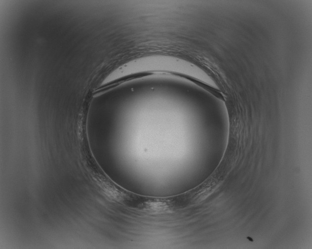 X0000073430509200608181150