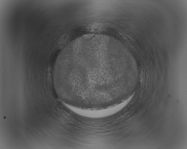 X0000073430511200608181150