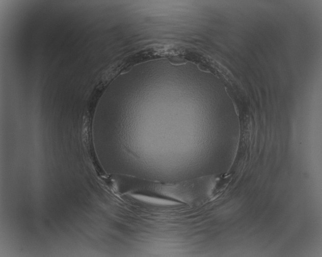 X0000073430513200608181150
