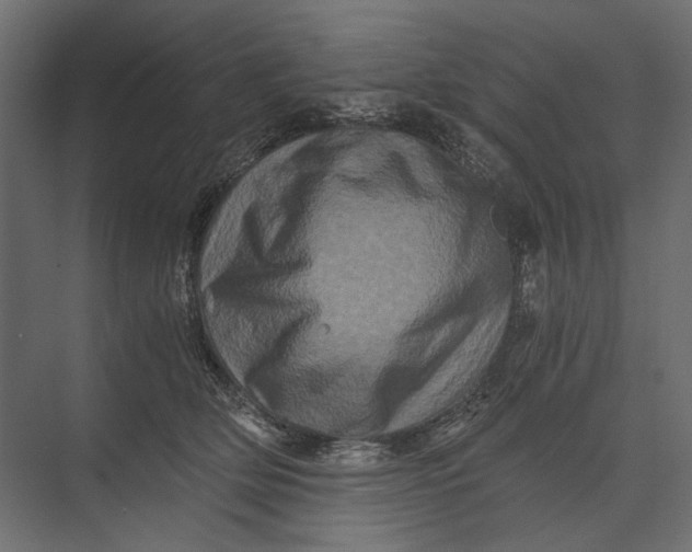 X0000073430514200608181150