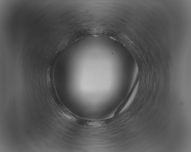 X0000073430516200608181150