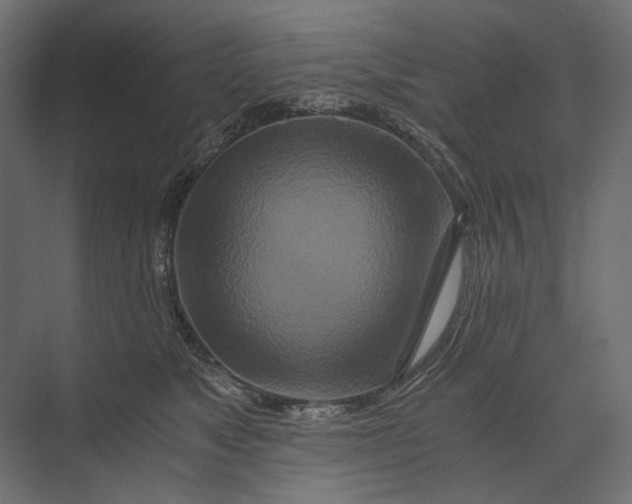 X0000073430517200608181150