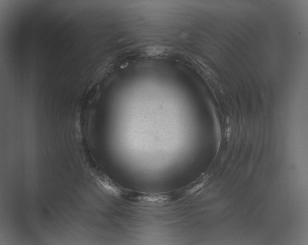 X0000073430524200608181150