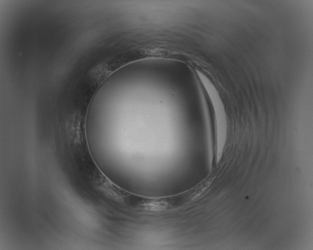 X0000073430525200608181150