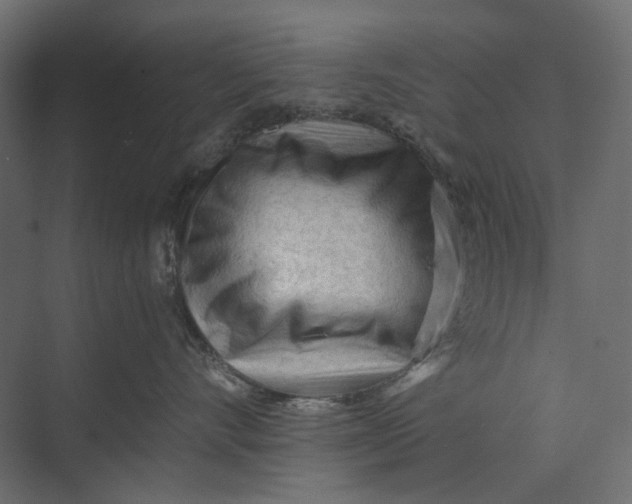 X0000073430528200608181150