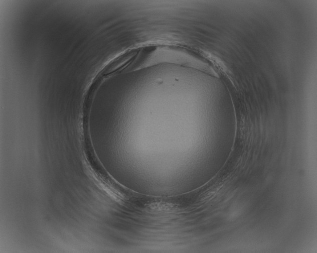 X0000073430535200608181149