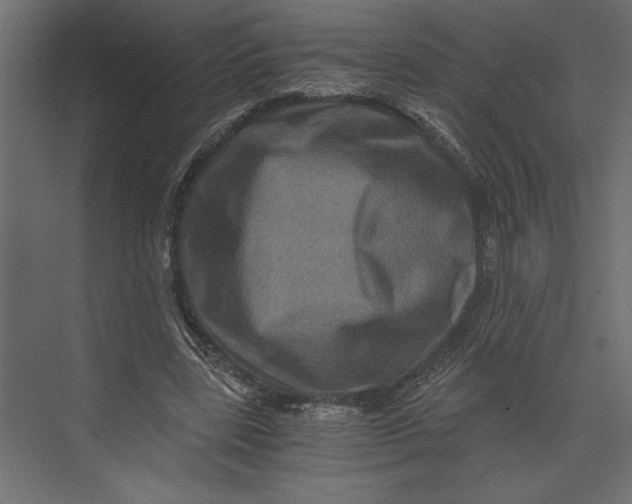 X0000073430539200608181149