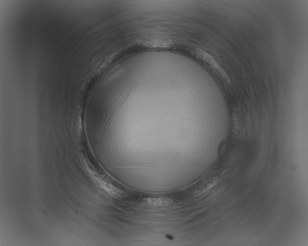 X0000073430541200608181149