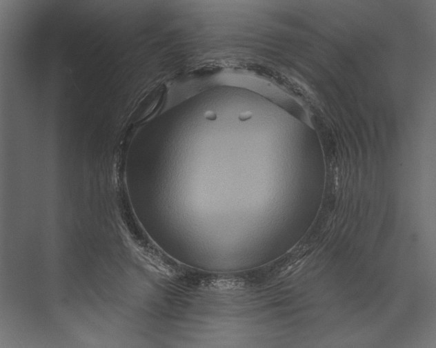 X0000073430546200608181149
