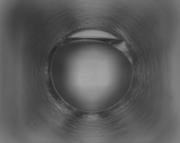 X0000073430548200608181149