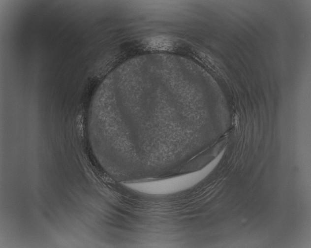 X0000073430551200608181149