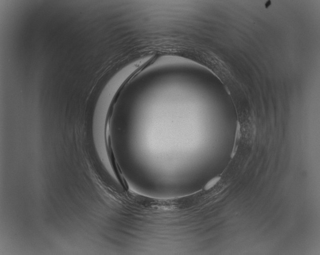 X0000073430552200608181150