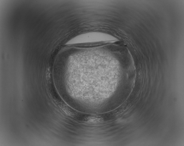 X0000073430555200608181150
