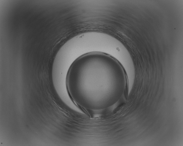 X0000073430556200608181150