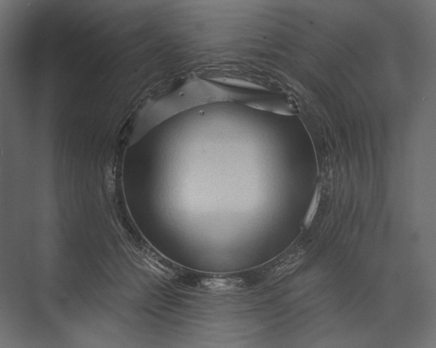 X0000073430558200608181150